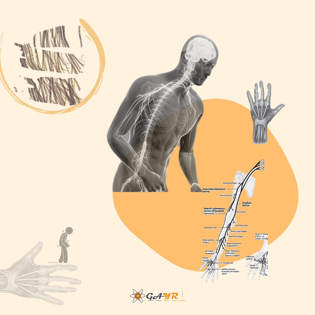 Prevalence of Carpal Tunnel Syndrome in Patients with Parkinson’s Disease: A Systematic Review and Meta-Analysis (P9-5.023)