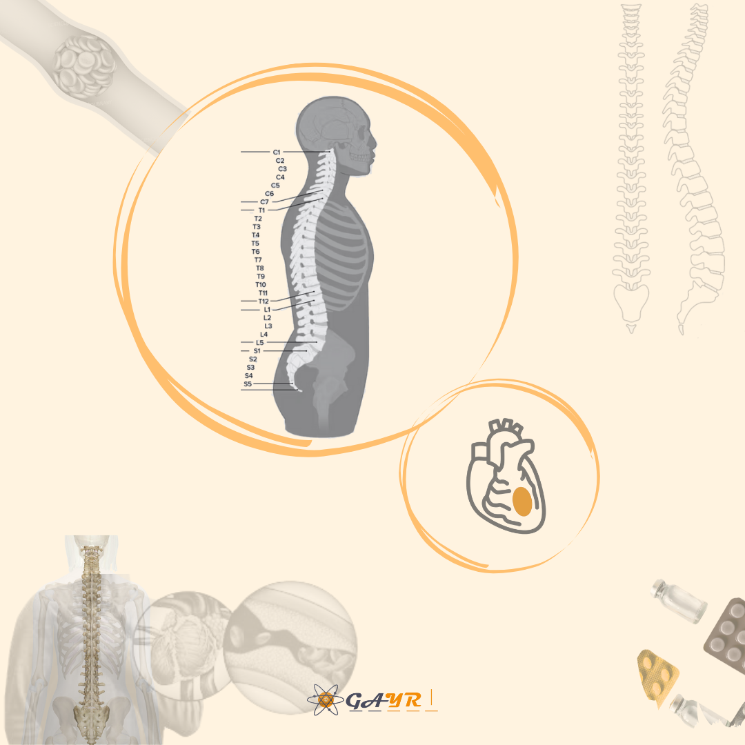 Assessing the Efficacy of Intra-Arterial and Intravenous Thrombolysis in Acute Spinal Cord Infarctions: A Systematic Review of Case Reports. (P7-13.007)