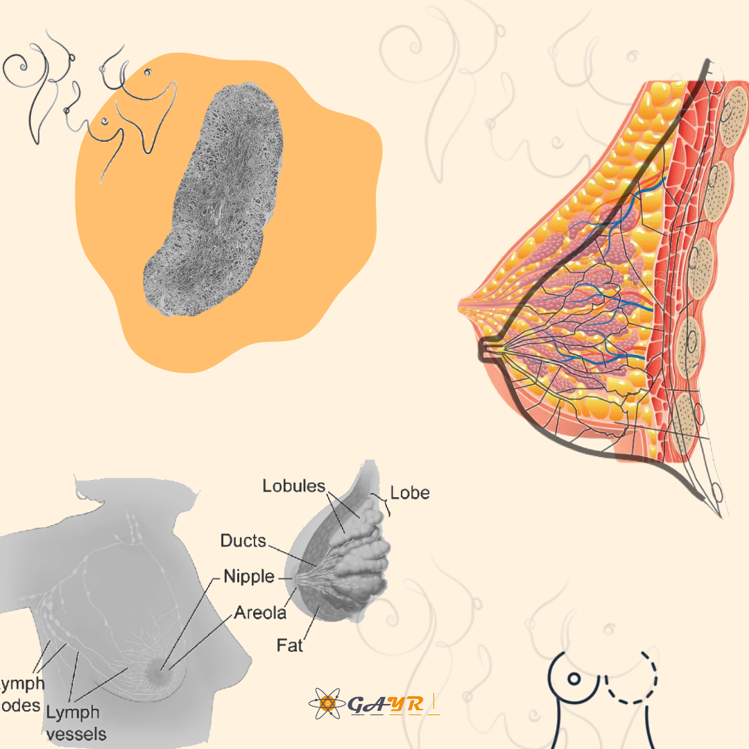 99P Postoperative adjuvant radiotherapy in primary malignant angiosarcoma of the breast patients following mastectomy or breast-conserving surgery: A retrospective study